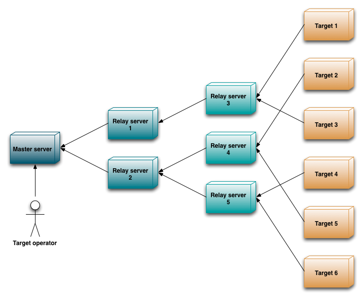 Figure 1: ACE server topology